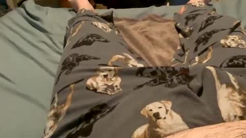 Snapshot of bandman862 chatting on 12/11/24, 03:13 bandman862 online show from 12/11/24, 03:13