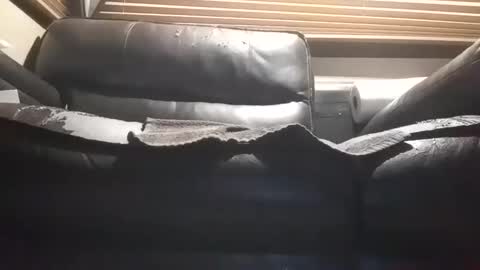 Snapshot of baobabtree10 chatting on 10/28/25, 12:09 baobabtree10 online show from 10/28/25, 12:09