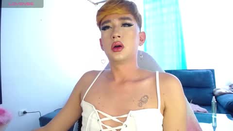 Snapshot of barbie_boy_ chatting on 01/09/25, 04:17 I work from home this is my room 3 online show from 01/09/25, 04:17