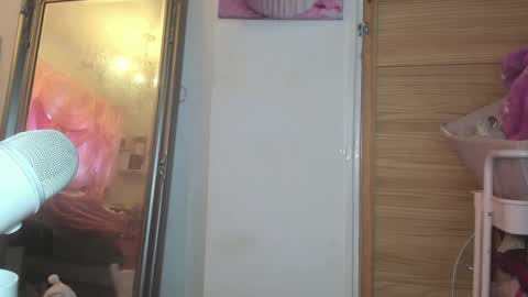 Snapshot of barbieely chatting on 01/21/25, 10:19 ely ink online show from 01/21/25, 10:19