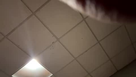 Snapshot of barbiegutzfan3 chatting on 10/15/25, 08:47 Tsbaby301 online show from 10/15/25, 08:47