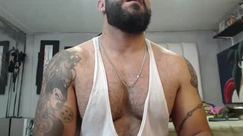 bardock online show from 11/05/25, 10:32