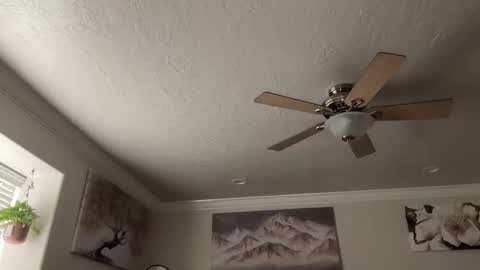 chicka online show from 03/10/26, 11:10