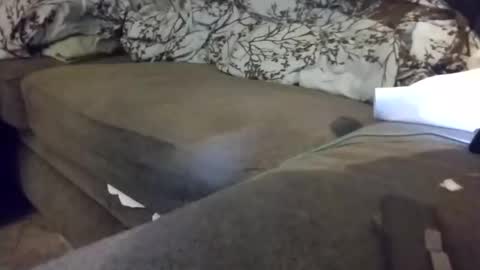 barrett4200 online show from 01/20/25, 12:15