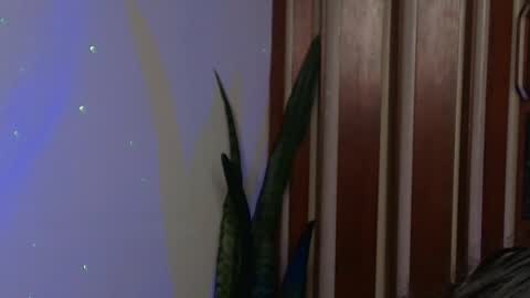 Snapshot of bastiel_ chatting on 05/27/26, 01:57 Bastiel online show from 05/27/26, 01:57