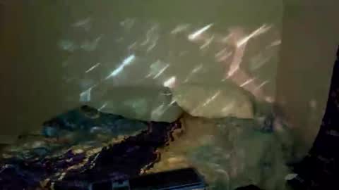 Snapshot of bathtimeboii chatting on 01/11/26, 04:06 bathtimeboii online show from 01/11/26, 04:06