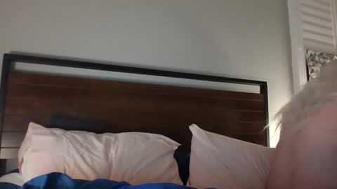 BjBambi online show from 12/14/24, 11:29