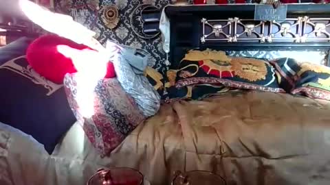 Snapshot of bazzasworld chatting on 11/01/25, 07:32 Bazza online show from 11/01/25, 07:32