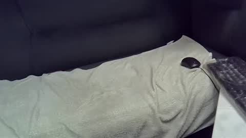 Snapshot of bbc_highness chatting on 02/21/25, 09:11 bbc_highness online show from 02/21/25, 09:11