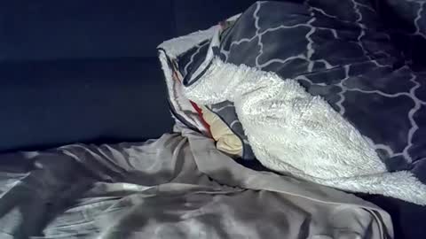 bbc_highness online show from 03/29/26, 08:14