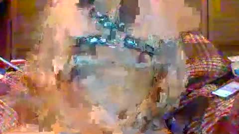 NSAPiigForBreeding online show from 04/22/26, 04:26