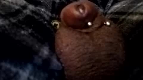 Snapshot of bcfalcon69 chatting on 02/26/26, 05:06 bcfalcon69 online show from 02/26/26, 05:06