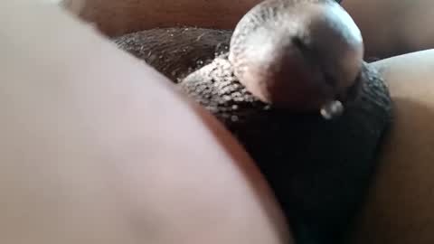 bcfalcon69 online show from 06/07/26, 12:42