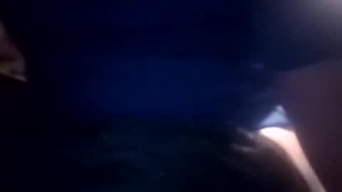 bcmow123 online show from 02/22/26, 06:24