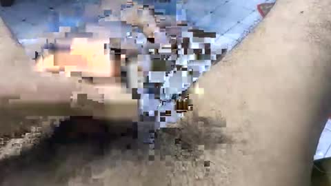 Snapshot of bd_sam_69 chatting on 11/02/25, 09:50 bd_sam_69 online show from 11/02/25, 09:50