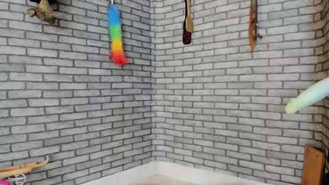 Snapshot of bdsm_meduza chatting on 11/29/25, 03:48 Meduza online show from 11/29/25, 03:48