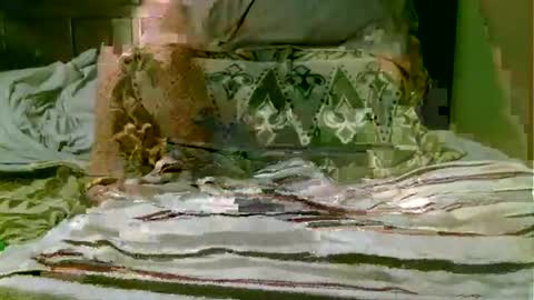 Snapshot of beagle1 chatting on 11/01/25, 08:55 beagle1 online show from 11/01/25, 08:55