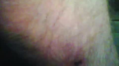 beanwright26 online show from 11/15/25, 09:39