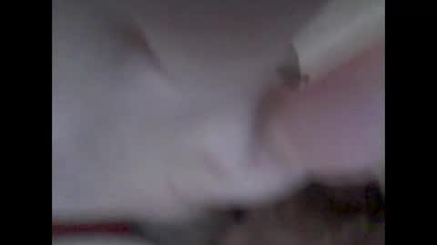 bear14250949 online show from 11/14/25, 10:25