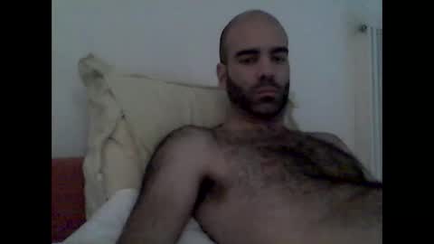 bear14250949 online show from 11/16/25, 11:38