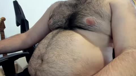 DOM bear online show from 03/26/26, 04:56