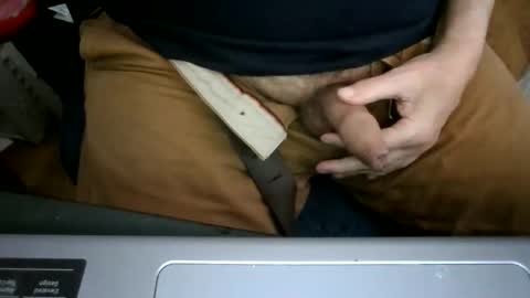 Snapshot of bearacuda555 chatting on 12/14/25, 08:24 Bruno online show from 12/14/25, 08:24