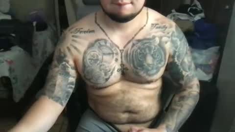 Bearcito online show from 03/05/25, 07:49