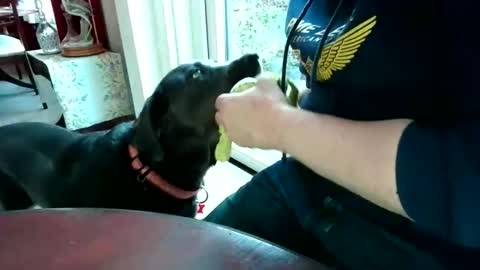 Beardman online show from 04/07/26, 05:57