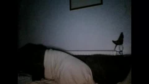 Snapshot of beatlebut chatting on 10/01/25, 06:25 beatlebut online show from 10/01/25, 06:25