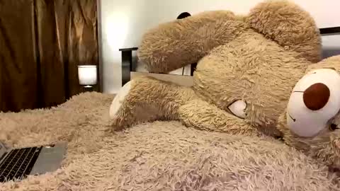 Nik online show from 03/07/26, 07:55