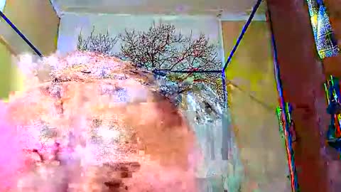 beencee2 online show from 01/12/25, 04:10