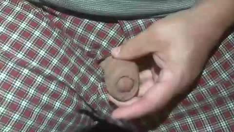  Reservoir Dogs online show from 10/20/25, 02:12