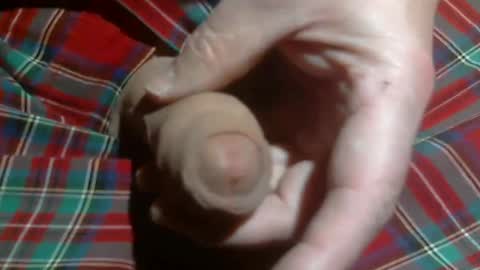  Reservoir Dogs online show from 03/02/26, 04:36