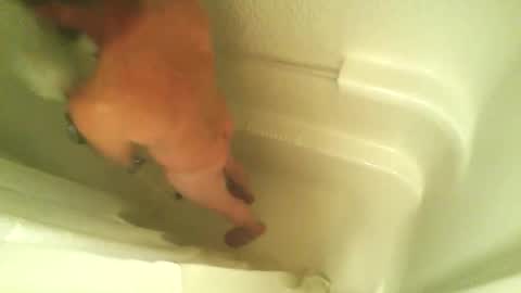 begme88 online show from 04/07/26, 04:24