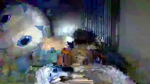 Xi online show from 05/20/26, 04:40