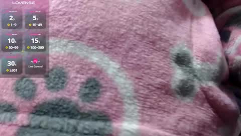 bekkasquirt online show from 01/01/25, 12:21