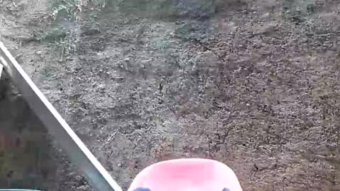 Snapshot of belalicious chatting on 02/28/25, 05:48 Tezza online show from 02/28/25, 05:48