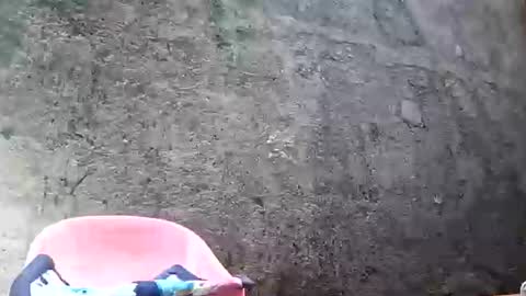 Snapshot of belalicious chatting on 02/28/25, 08:53 Tezza online show from 02/28/25, 08:53