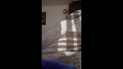 Snapshot of belcebu472402 chatting on 11/02/25, 02:41 belcebu472402 online show from 11/02/25, 02:41