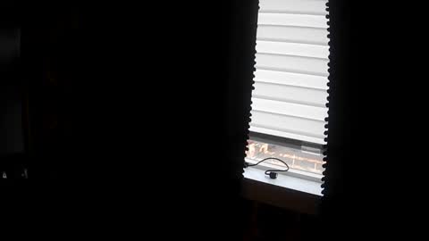 belessa4u online show from 03/20/26, 12:48