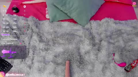 Snapshot of bellaa_becca chatting on 12/19/24, 09:17 Bella Becca online show from 12/19/24, 09:17