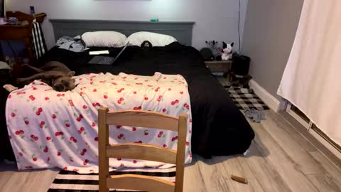 Roxy Rain online show from 03/01/25, 04:00