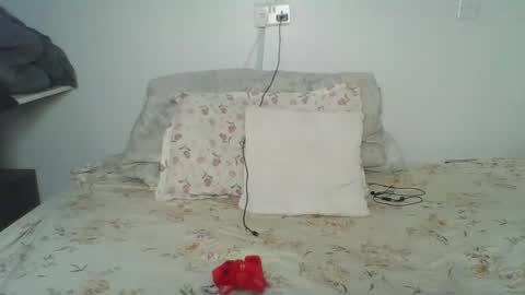 bellah online show from 02/24/26, 05:49