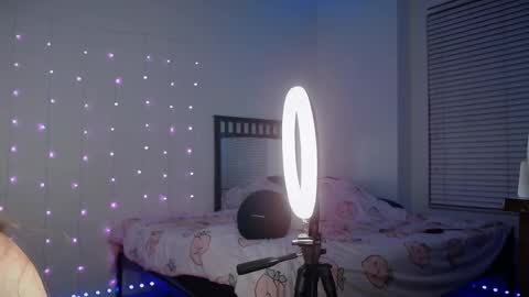 Bella Monroe online show from 02/19/25, 08:22