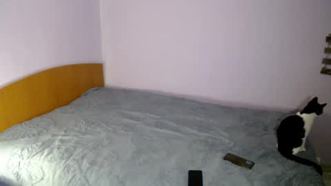 Snapshot of bellaqueen0701 chatting on 03/06/25, 05:33 bellaqueen0701 online show from 03/06/25, 05:33