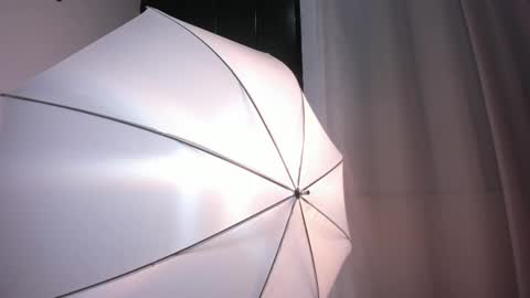 Snapshot of bellawild_ chatting on 02/12/26, 12:00 Bella Wild online show from 02/12/26, 12:00