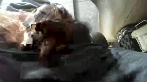 beninoam75 online show from 01/09/26, 07:33