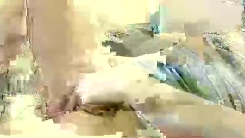 Benutzmich0800 online show from 12/08/24, 11:19