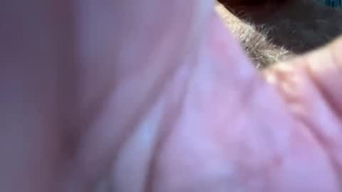 Snapshot of benz10001 chatting on 09/13/25, 12:49 benz10001 online show from 09/13/25, 12:49