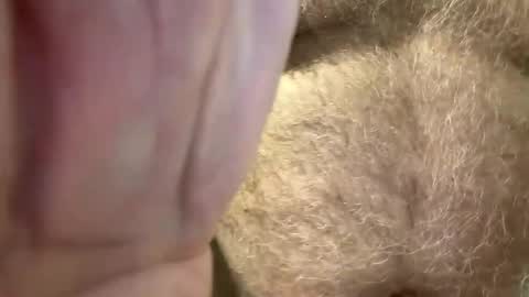 benz10001 online show from 04/14/26, 03:01